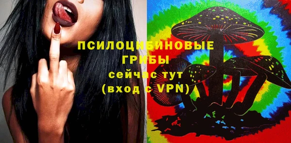 марки nbome Белокуриха