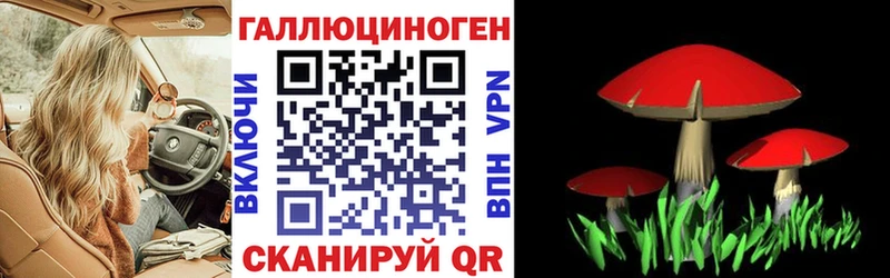 Галлюциногенные грибы GOLDEN TEACHER Голицыно
