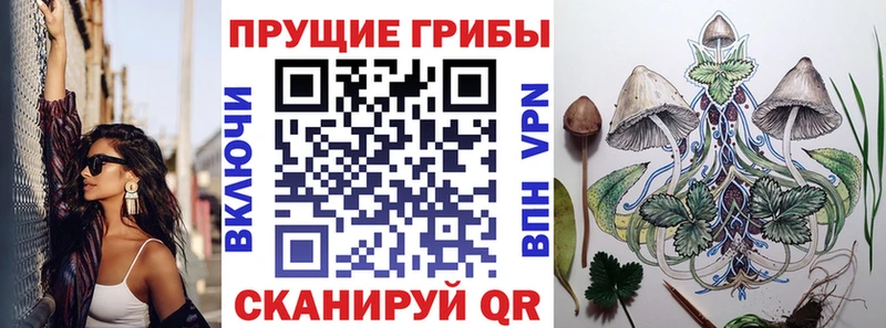 Псилоцибиновые грибы мицелий Голицыно