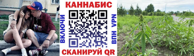 Шишки марихуана тримм  сколько стоит  Голицыно 